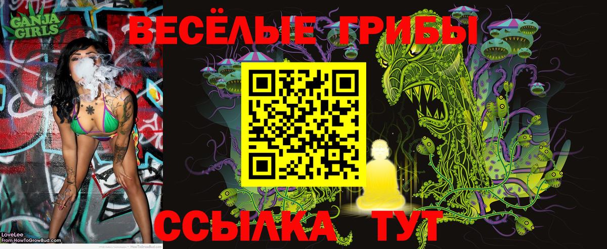 Галлюциногенные грибы Cubensis  Вход с VPN  Санкт-Петербург 